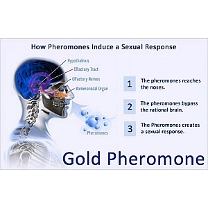 בושם פרומונים לגבר עוצמתי | Pheromone 473 Homme